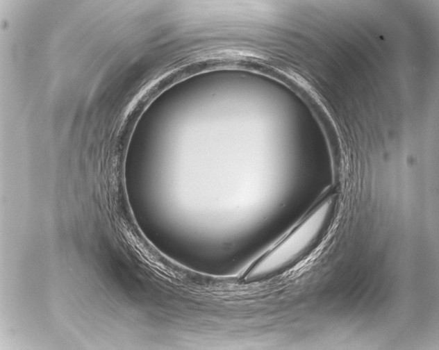 X0000054470783200508191727