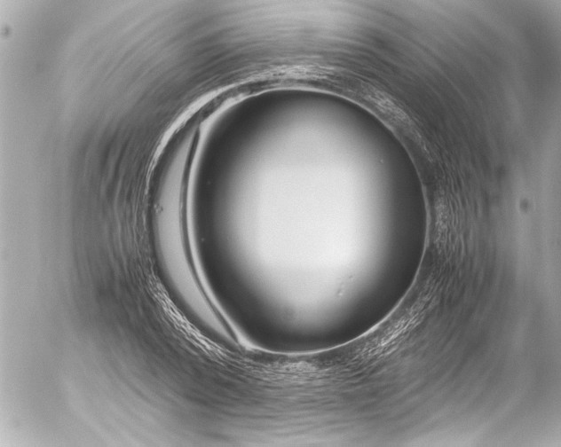 X0000054470784200508191727