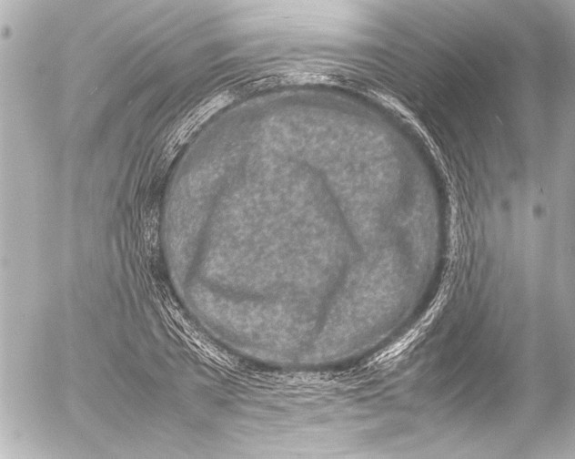 X0000054470785200508191727