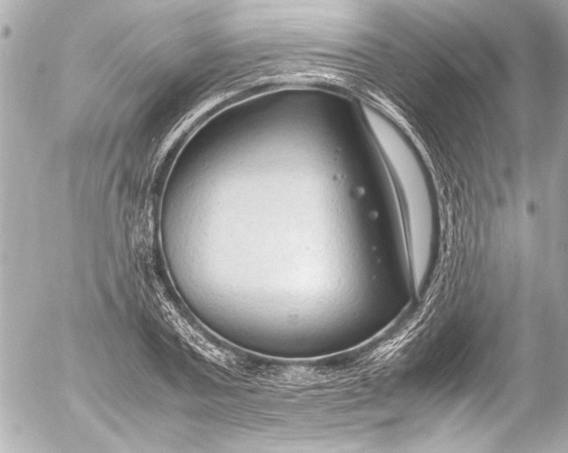 X0000054470787200508191727