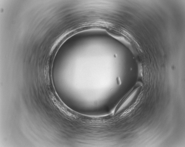 X0000054470788200508191727