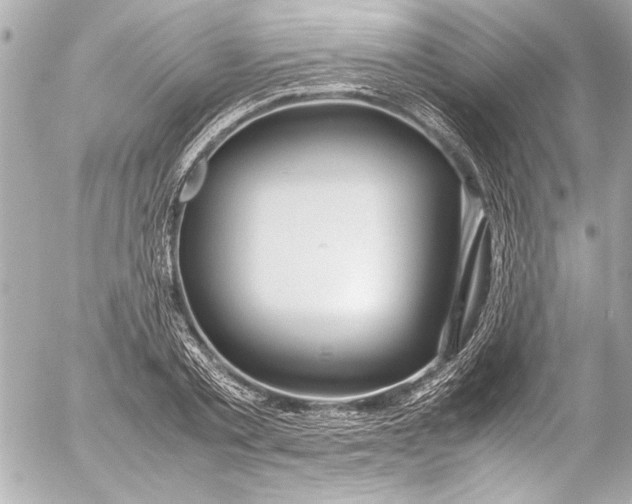 X0000054470789200508191727