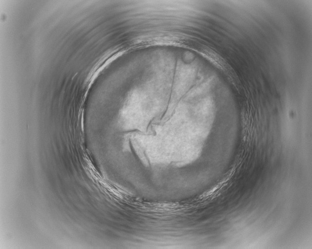 X0000054470790200508191726