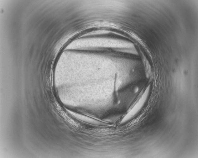 X0000054470791200508191726