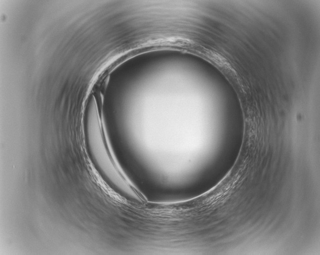 X0000054470792200508191726