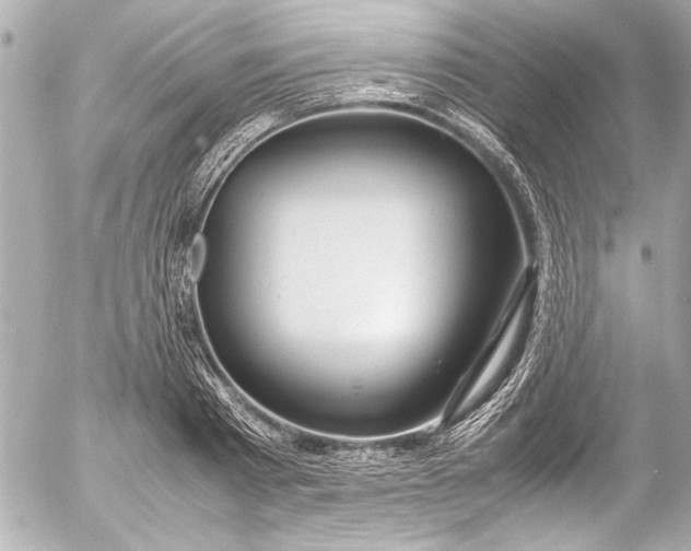 X0000054470793200508191726