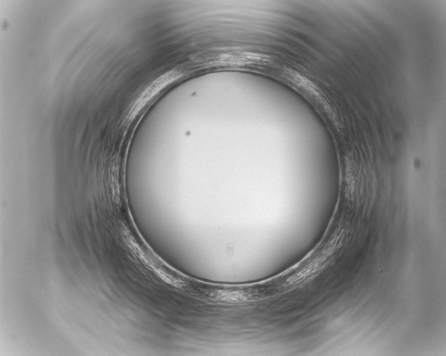 X0000054470794200508191726