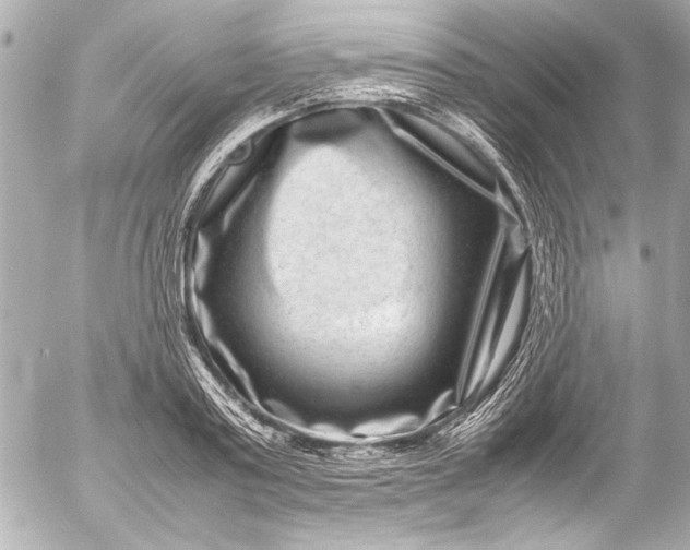 X0000054470795200508191726