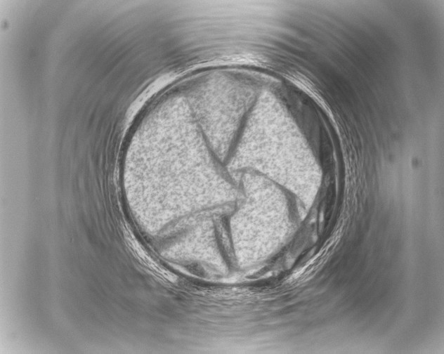 X0000054470797200508191726