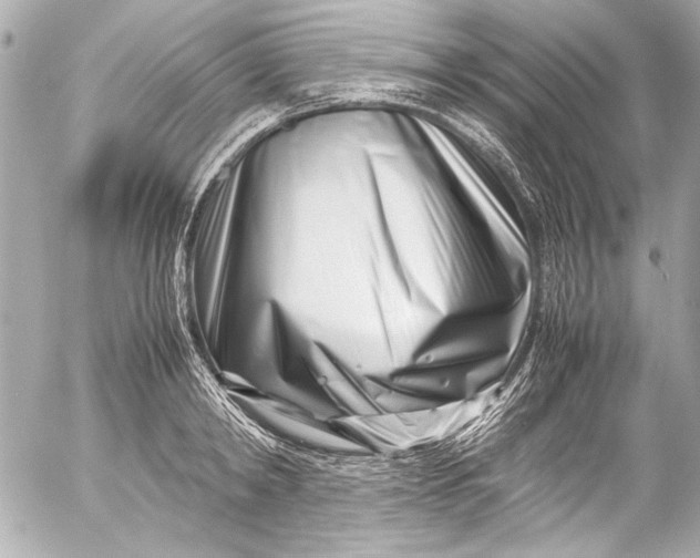 X0000054470798200508191726