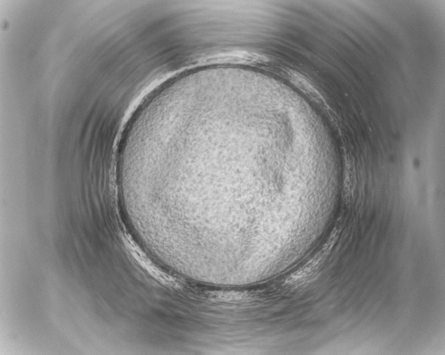 X0000054470800200508191726