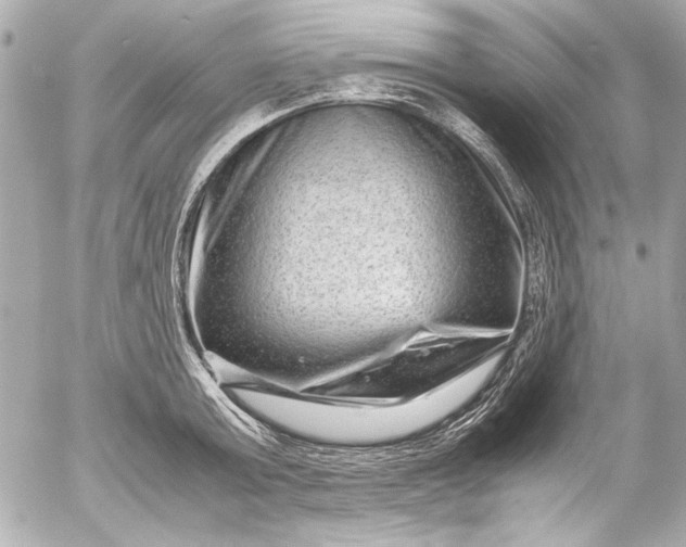 X0000054470803200508191726