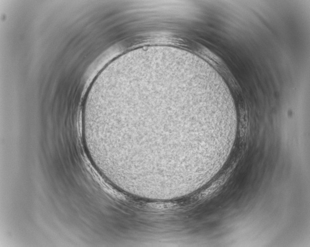 X0000054470804200508191726