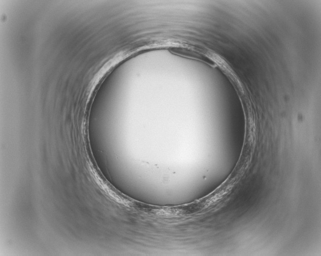 X0000054470805200508191726