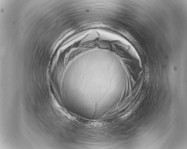 X0000054470806200508191726