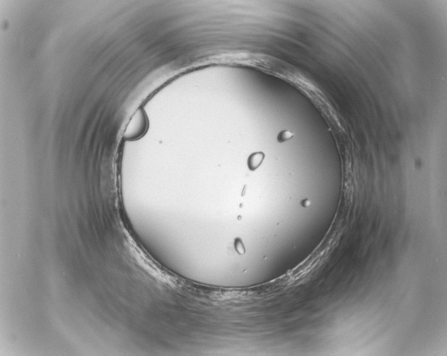 X0000054470808200508191726