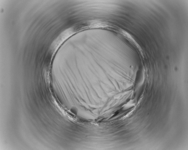 X0000054470810200508191726