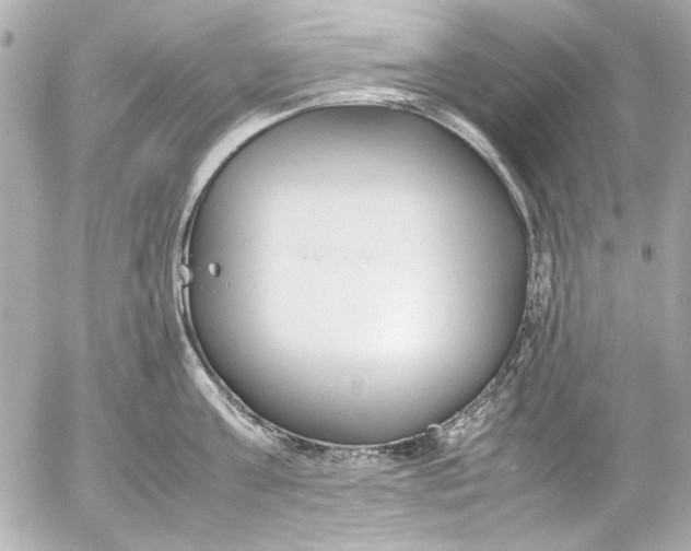 X0000054470811200508191726