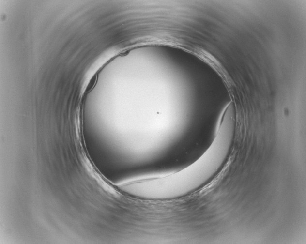 X0000054470812200508191726