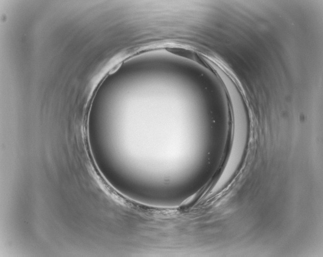 X0000054470813200508191726