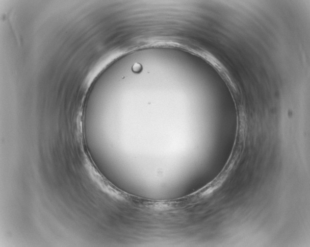 X0000054470814200508191726