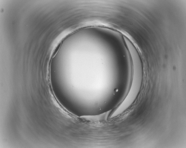 X0000054470815200508191726