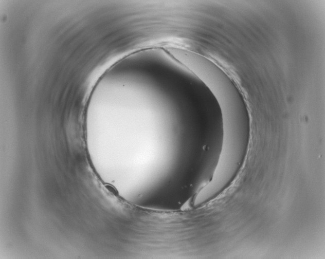 X0000054470816200508191726