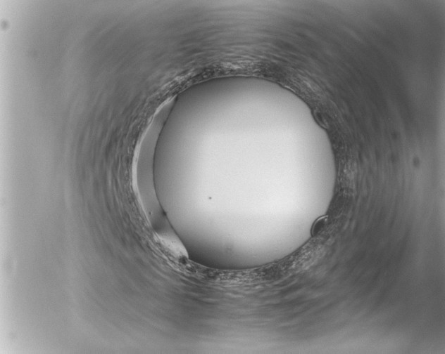 X0000054470817200508191725