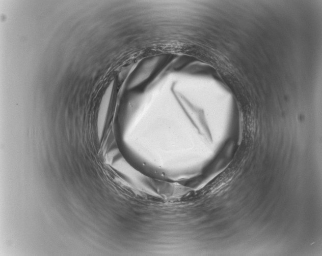 X0000054470818200508191725