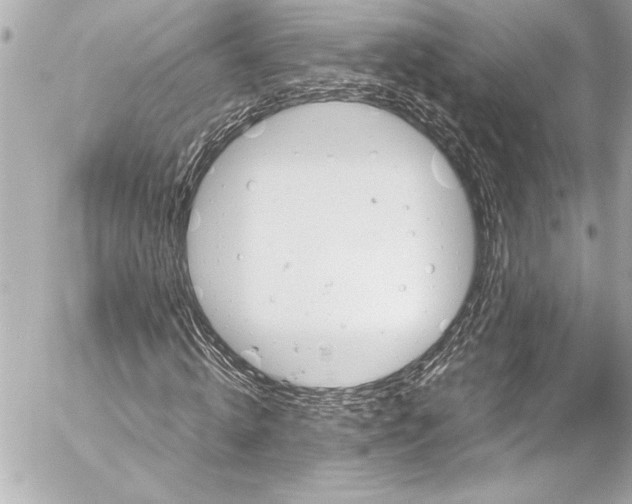 X0000054470820200508191725