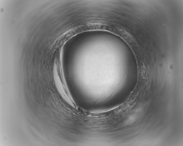 X0000054470821200508191725