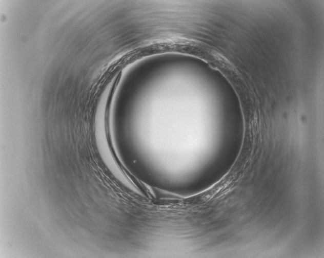 X0000054470822200508191725