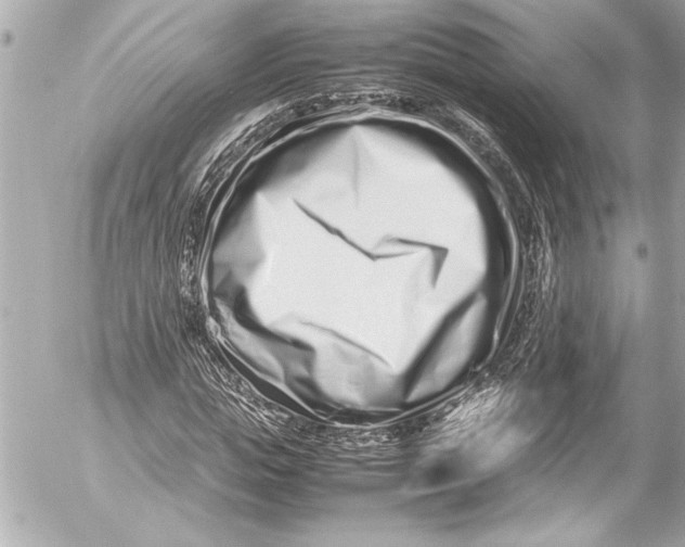 X0000054470823200508191725