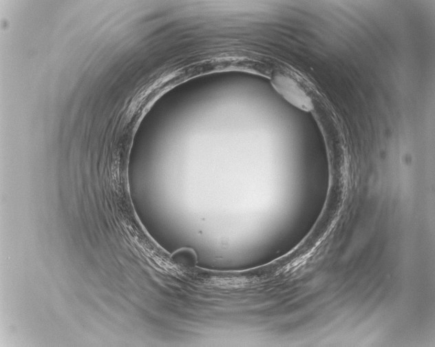 X0000054470825200508191725