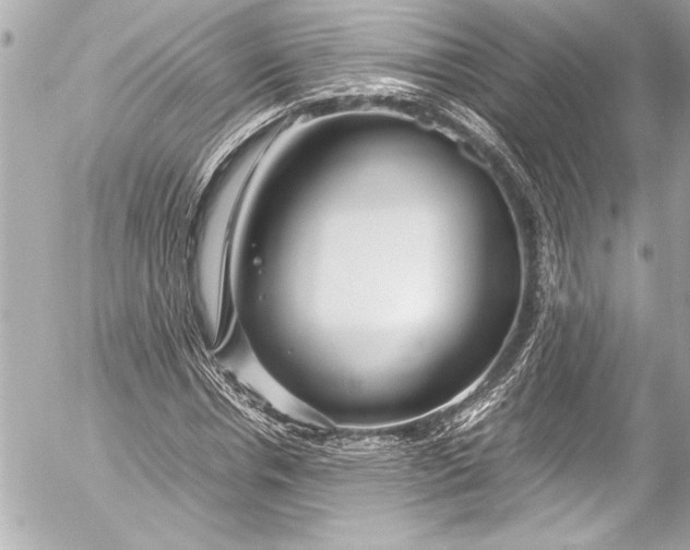 X0000054470826200508191725