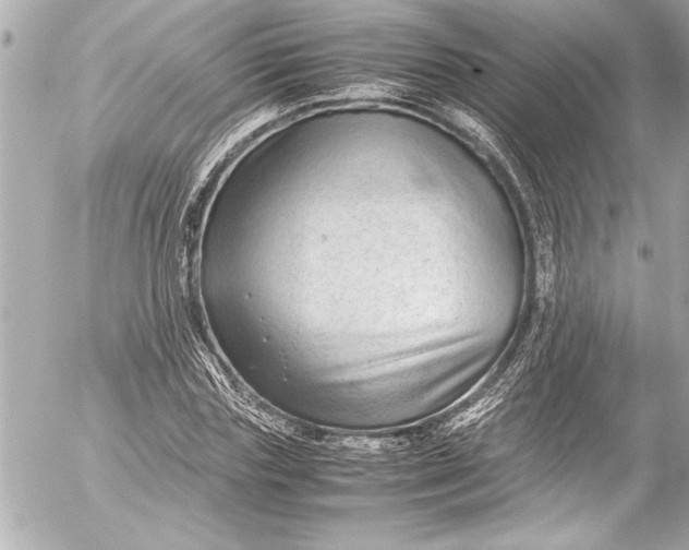 X0000054470827200508191725