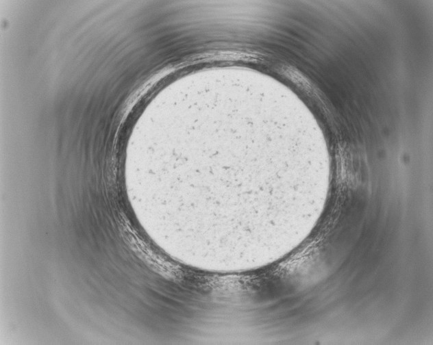 X0000054470828200508191725