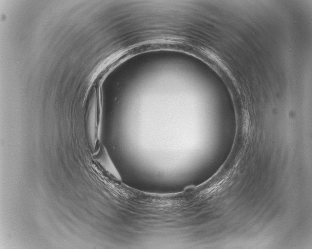 X0000054470829200508191725