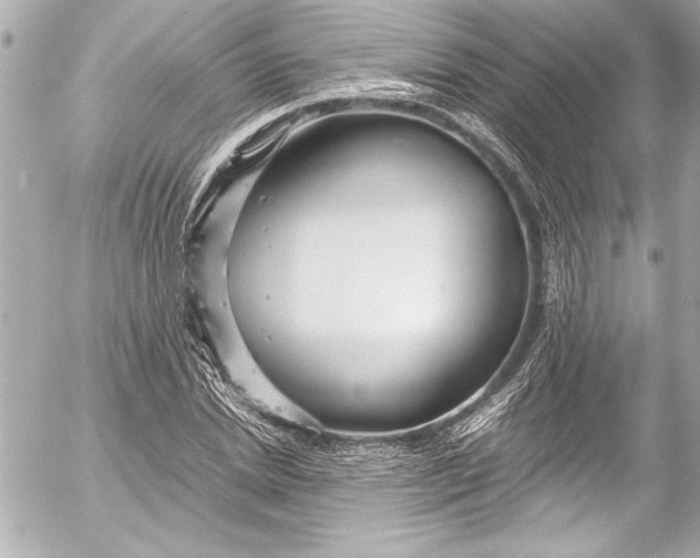 X0000054470830200508191725