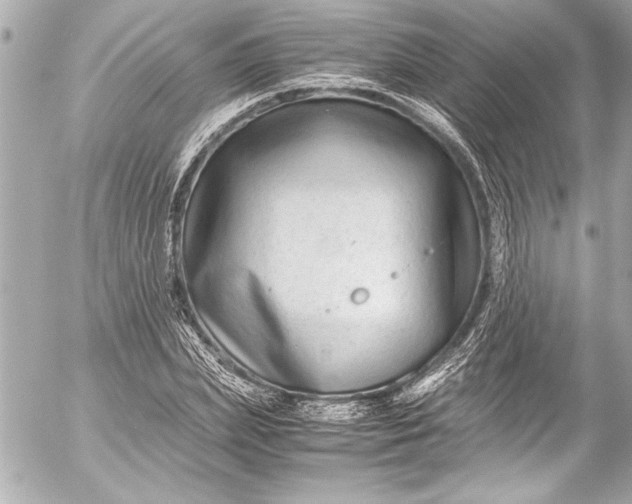 X0000054470831200508191726