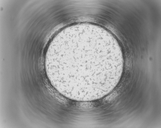 X0000054470832200508191726