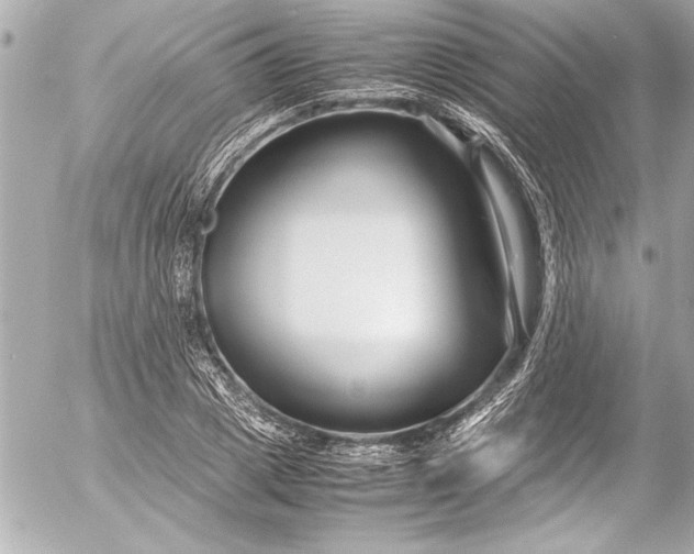 X0000054470833200508191726