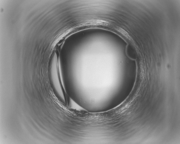 X0000054470834200508191726