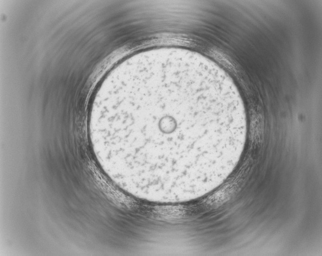 X0000054470836200508191726