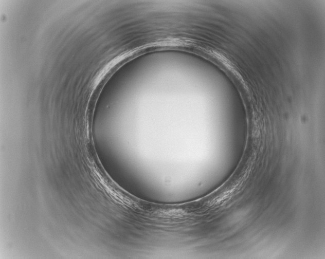 X0000054470837200508191726