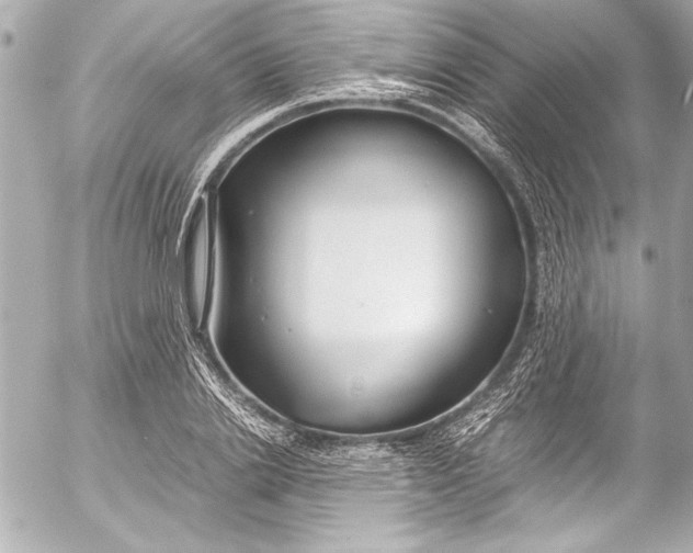 X0000054470838200508191726