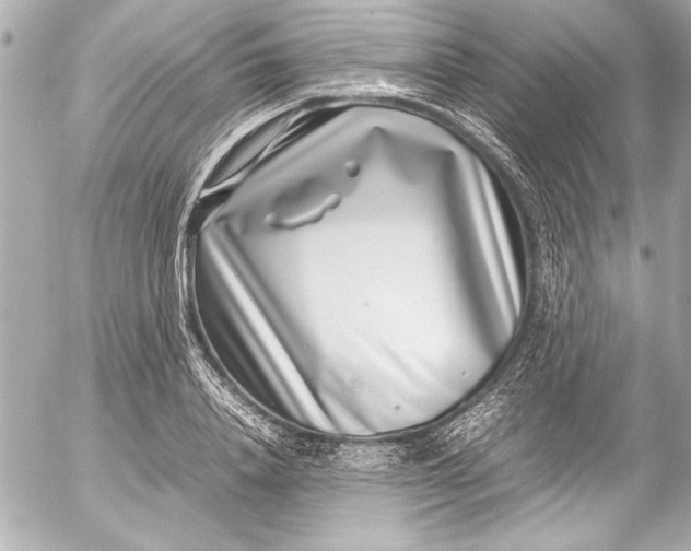 X0000054470840200508191726