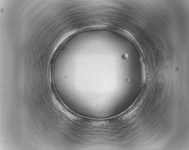 X0000054470843200508191726