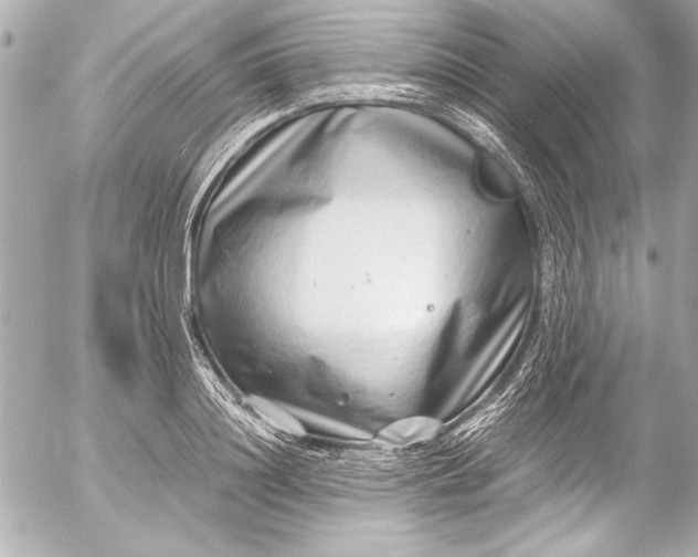 X0000054470844200508191726