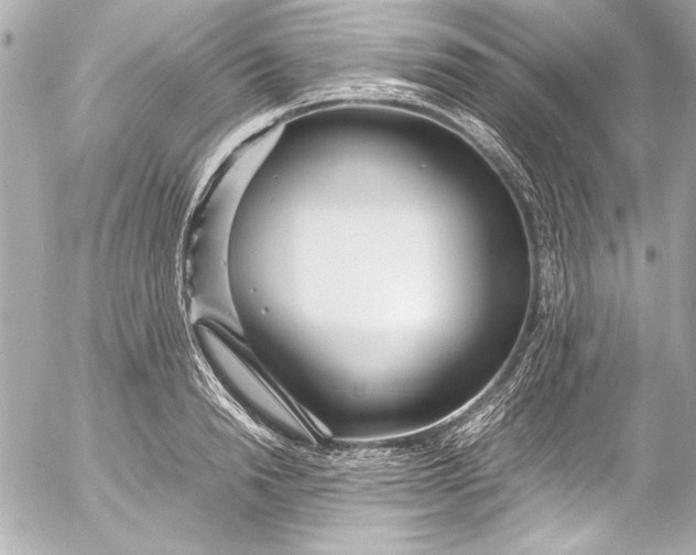 X0000054470846200508191726